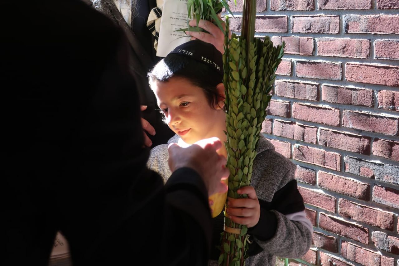 ברכה על הלולב בהושענא רבה לאחר התפילה